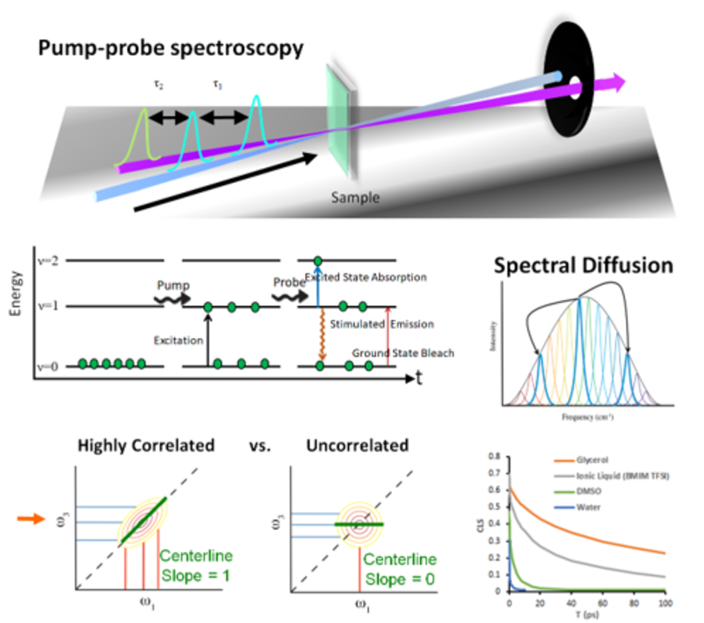 Pump Probe 2