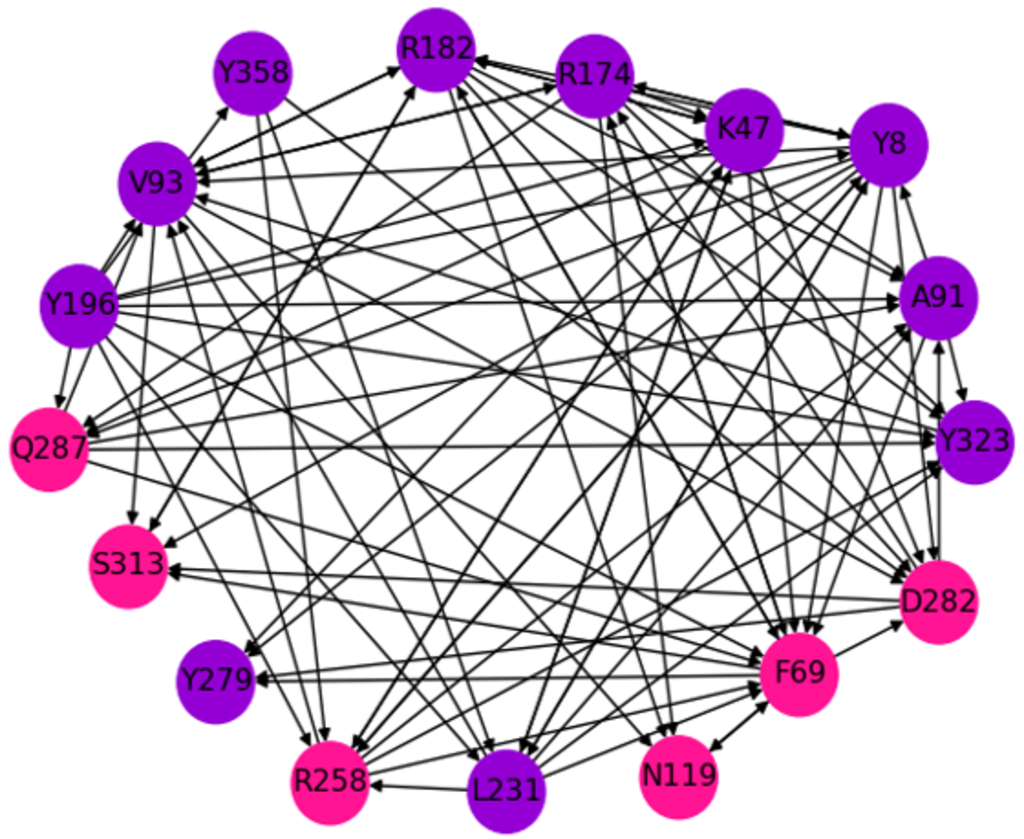 predicted network based on hitting times